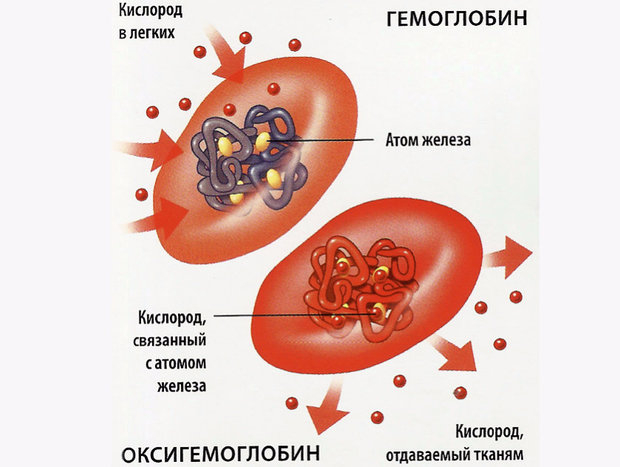 эритроциты в крови понижены что это значит